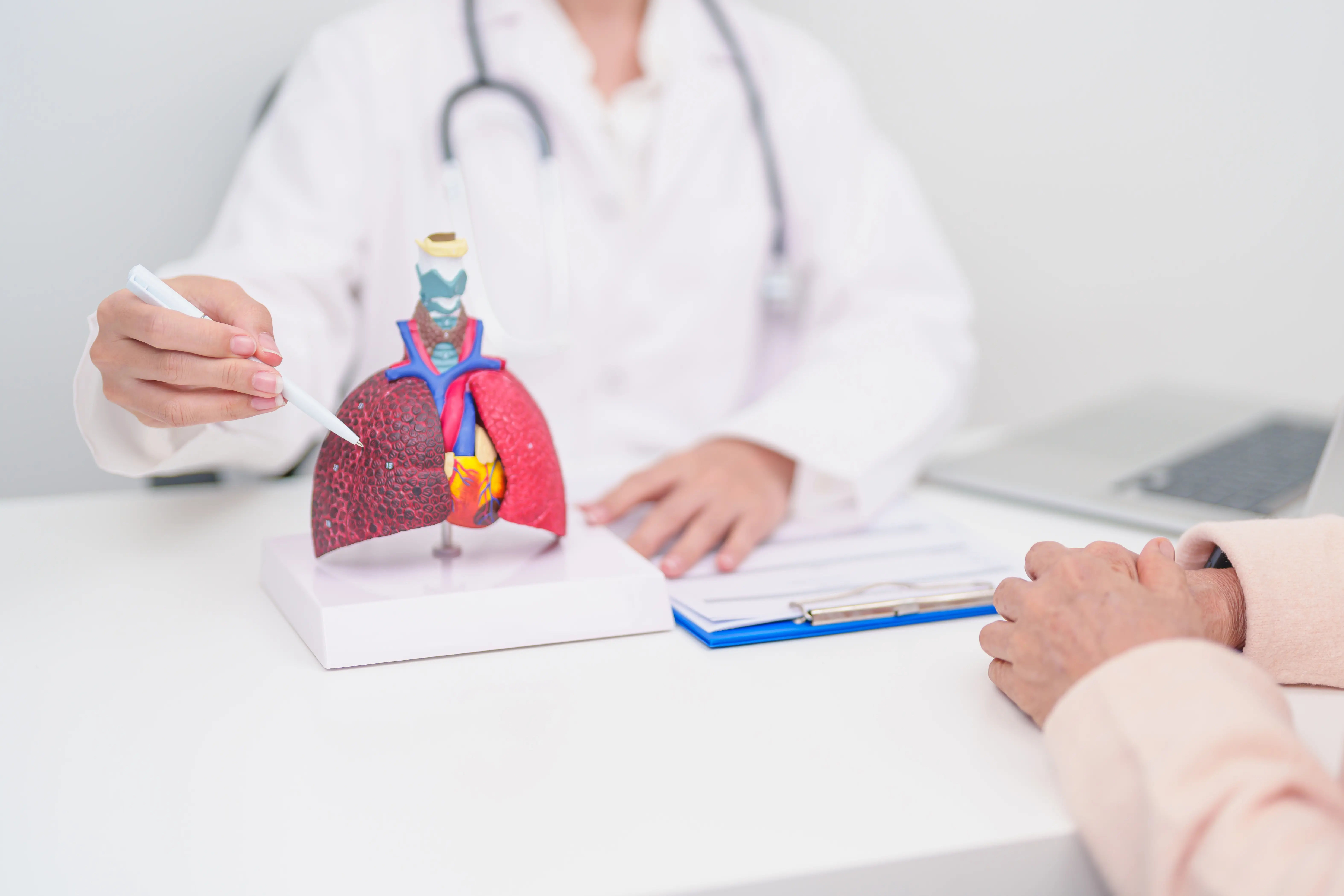 What Leads to Signs Of Bronchitis Uncovering the Root Causes